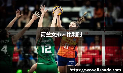 荷兰女排vs比利时